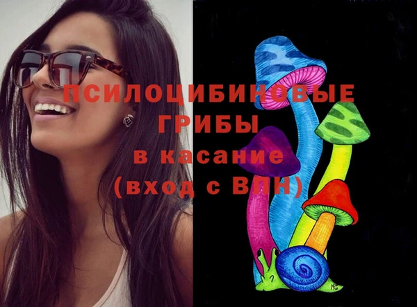 марки lsd Белокуриха