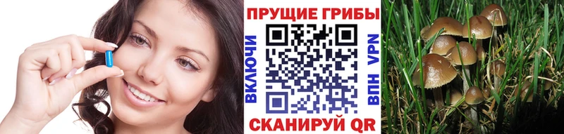 Галлюциногенные грибы мицелий  Семикаракорск 